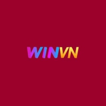 Profile picture for user winvnycom