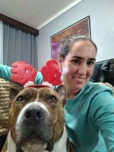 Profile picture for user Angelica Candido