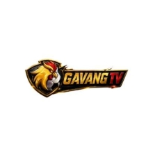 Profile picture for user gavangtvad