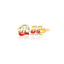 Profile picture for user qh88vlcom
