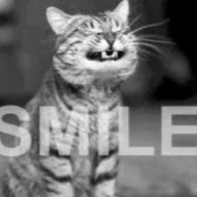 Profile picture for user takeasmile