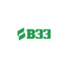 Profile picture for user b33website