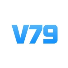 Profile picture for user v79tech