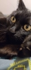 Profile picture for user RitaMad